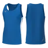 Bleu roy