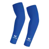 Bleu roy