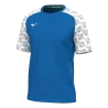 Bleu roy
