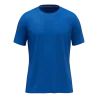 Bleu roy
