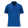 Bleu roy