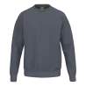 Gris ardoise