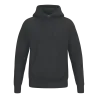 Sweat à capuche TS
