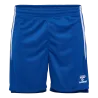 Bleu roy
