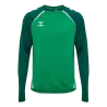 Vert gelée/Vert foncé