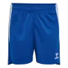 Bleu roy