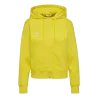Jaune flamboyant