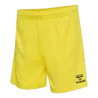 Jaune flamboyant