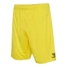 Jaune flamboyant