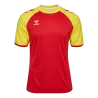 Rouge/Jaune flamboyant