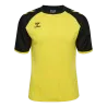 jaune flamboyant/Noir