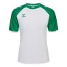 Blanc/Vert gelée