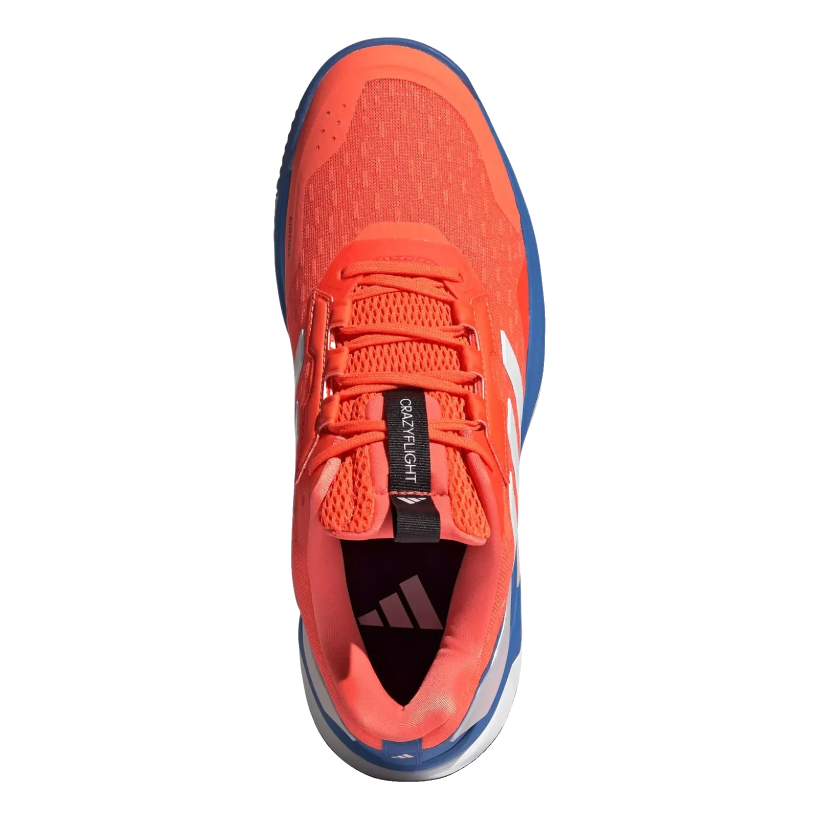 Chaussures Crazyflight 6 M