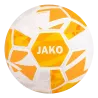 Ballon d'entraînement River