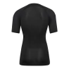 Baselayer MC HMLBL Performance