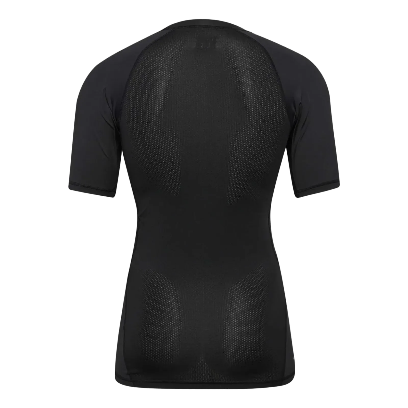 Baselayer MC HMLBL Performance
