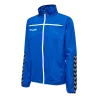 Bleu roy