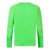 Maillot de gardien Farco