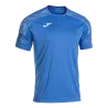 Bleu roy