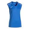 Bleu roy