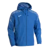 Bleu roy