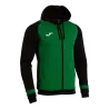 Veste à capuche Lider