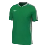 Vert/Gris