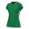 Vert/Gris
