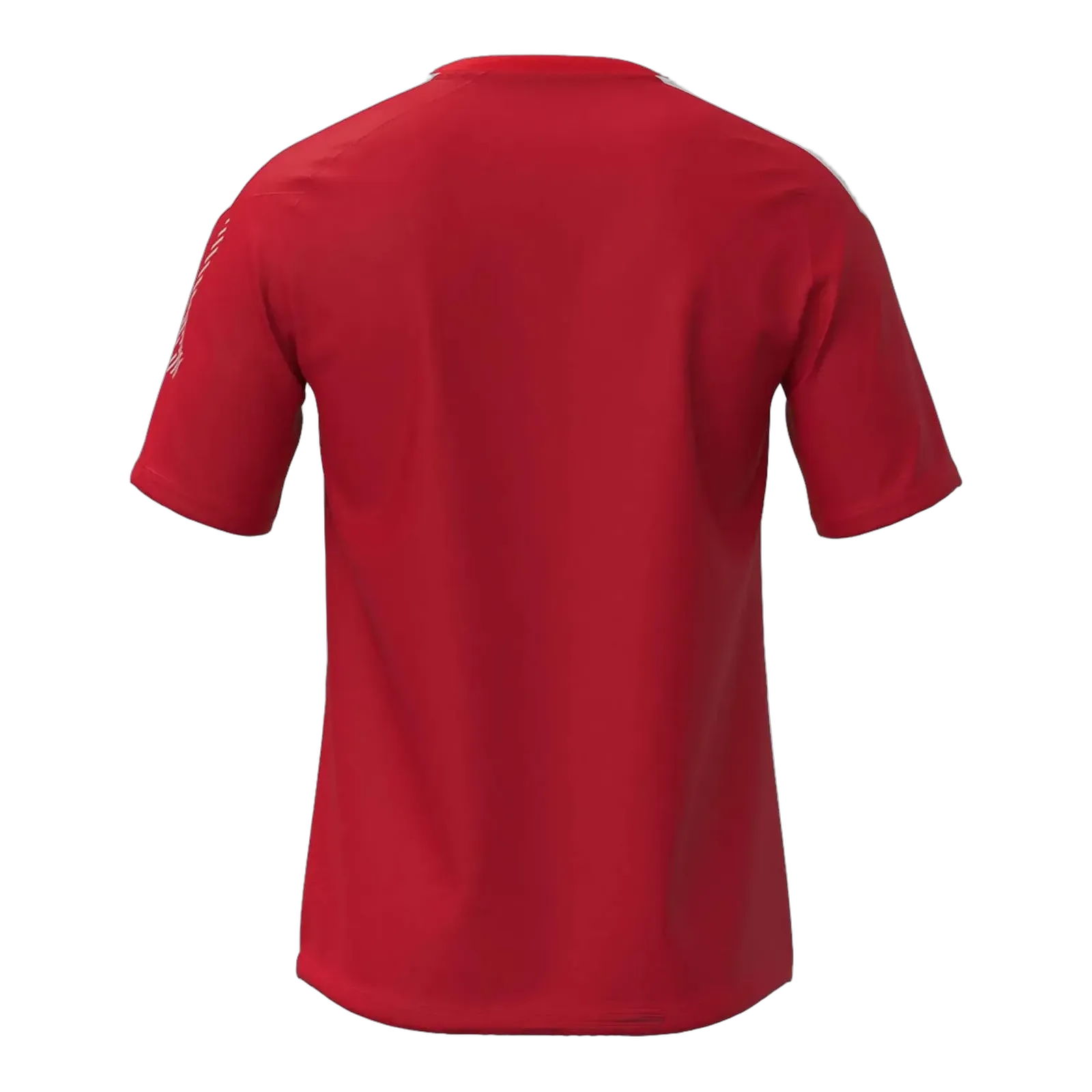 Maillot Mizuno RB