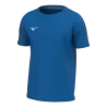 Bleu roy