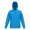 Bleu roy