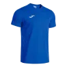 Bleu roy