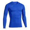 Bleu roy