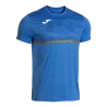 Bleu roy