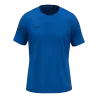 Bleu roy