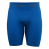 Bleu roy