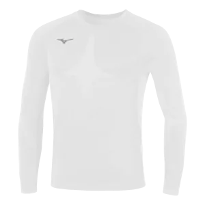 Baselayer Team ML