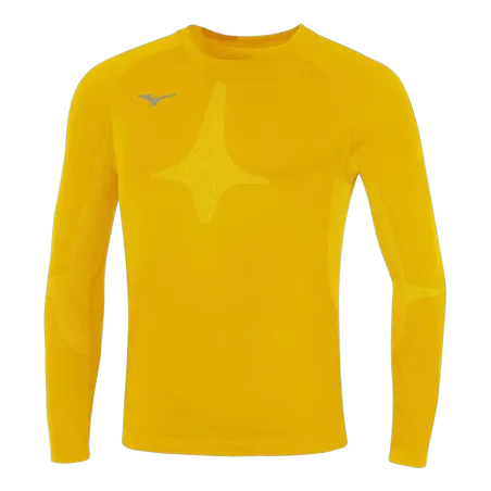 Baselayer Team ML