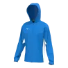 Bleu roy