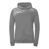 Gris pierre