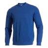 Bleu roy