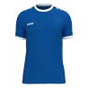 Bleu roy