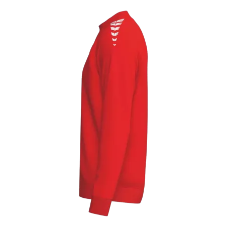 Sweat col rond CMPT Wings