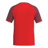 Maillot Wings