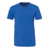 Bleu roy