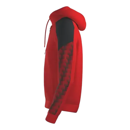 Veste à capuche d'entraînement Erima Evo star