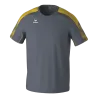 Gris ardoise/Jaune