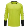 Maillot de gardien Hummel Essential