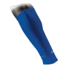 Bleu roi