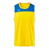 Jaune/Bleu roy